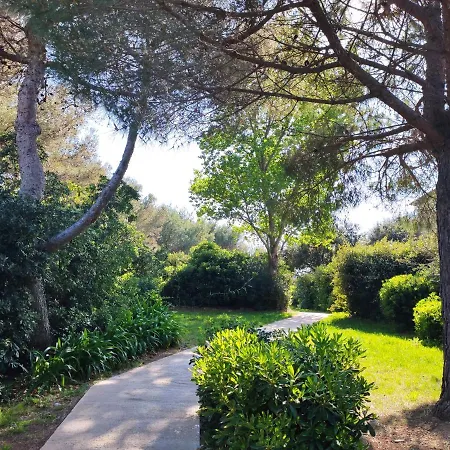 公寓 Domaine De La Coudouliere, Vue Mer, Plage, Piscine Et Parc 锡富尔勒普拉日