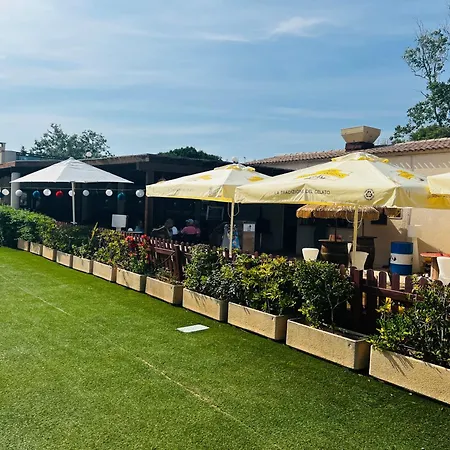 公寓 Domaine De La Coudouliere, Vue Mer, Plage, Piscine Et Parc 锡富尔勒普拉日