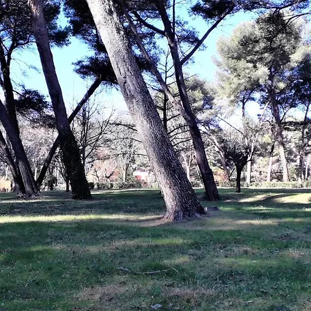 Domaine De La Coudouliere, Vue Mer, Plage, Piscine Et Parc * 锡富尔勒普拉日