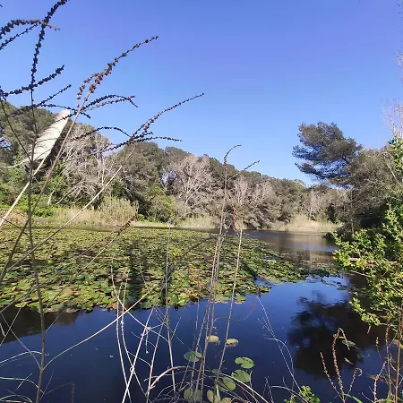 Domaine De La Coudouliere, Vue Mer, Plage, Piscine Et Parc Apartman